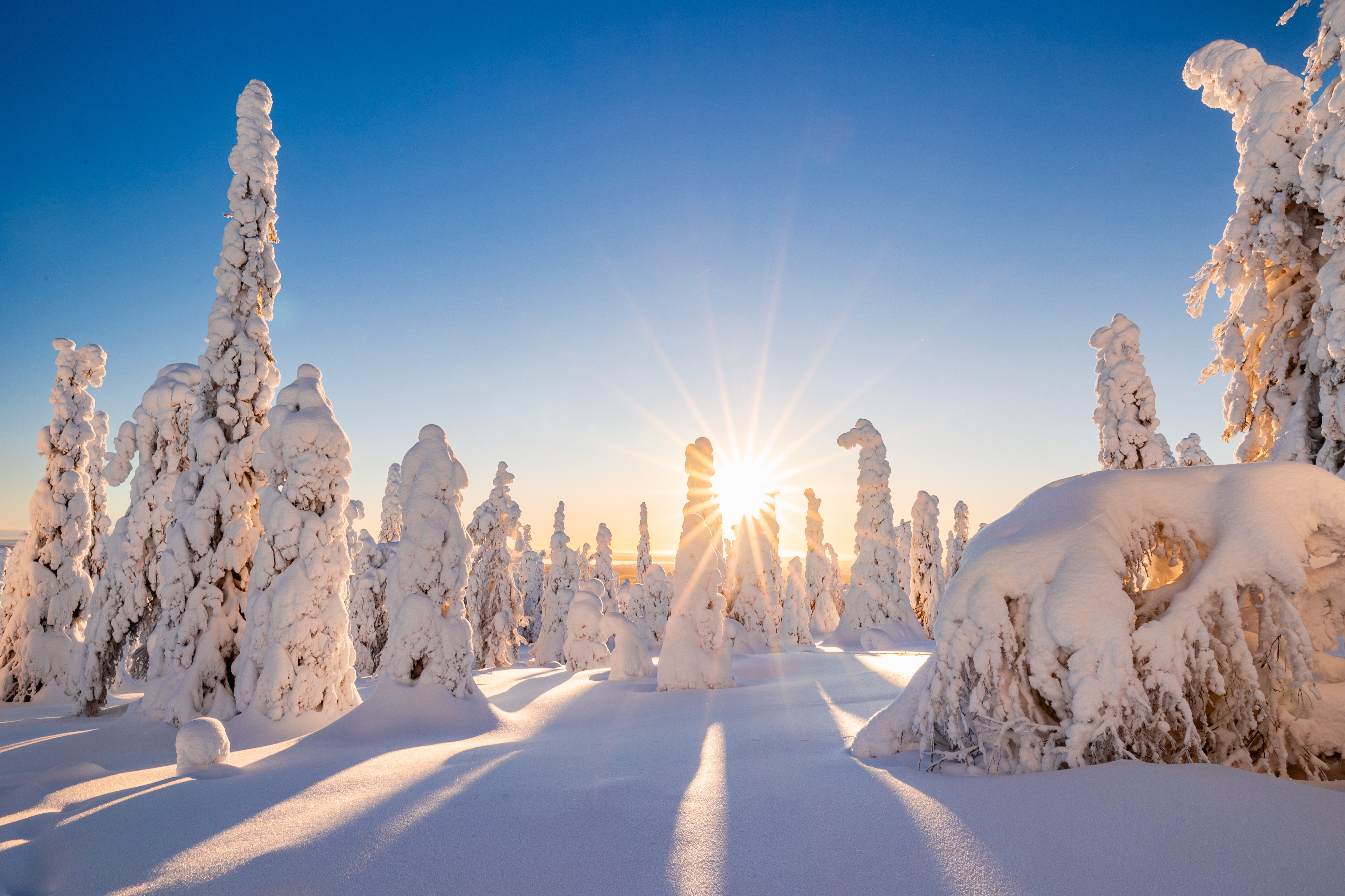 Frozen landscape in Finland with frozen trees and snow on the ground